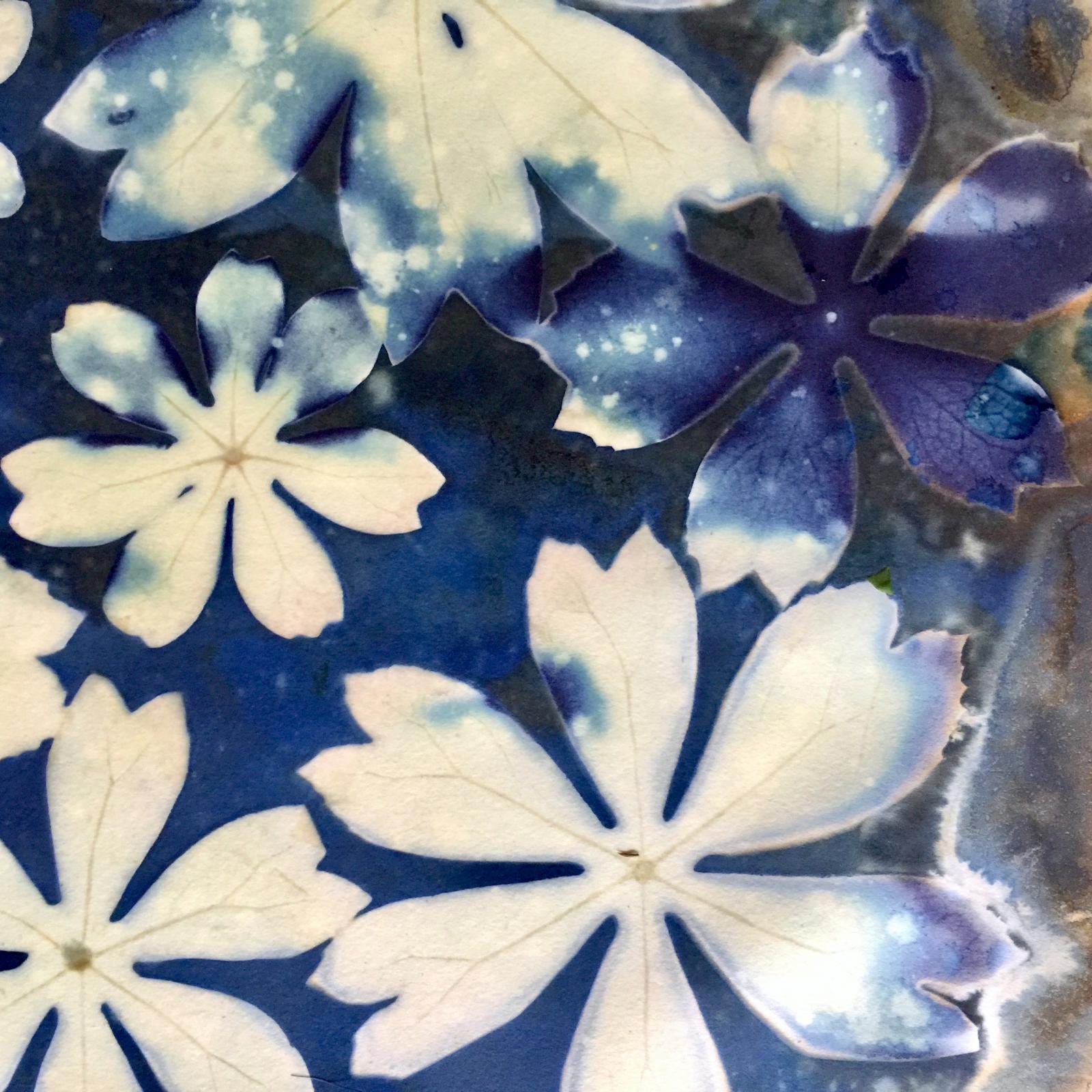 Modern Botanical. A cyanotype print, digitally layered and enhanced.