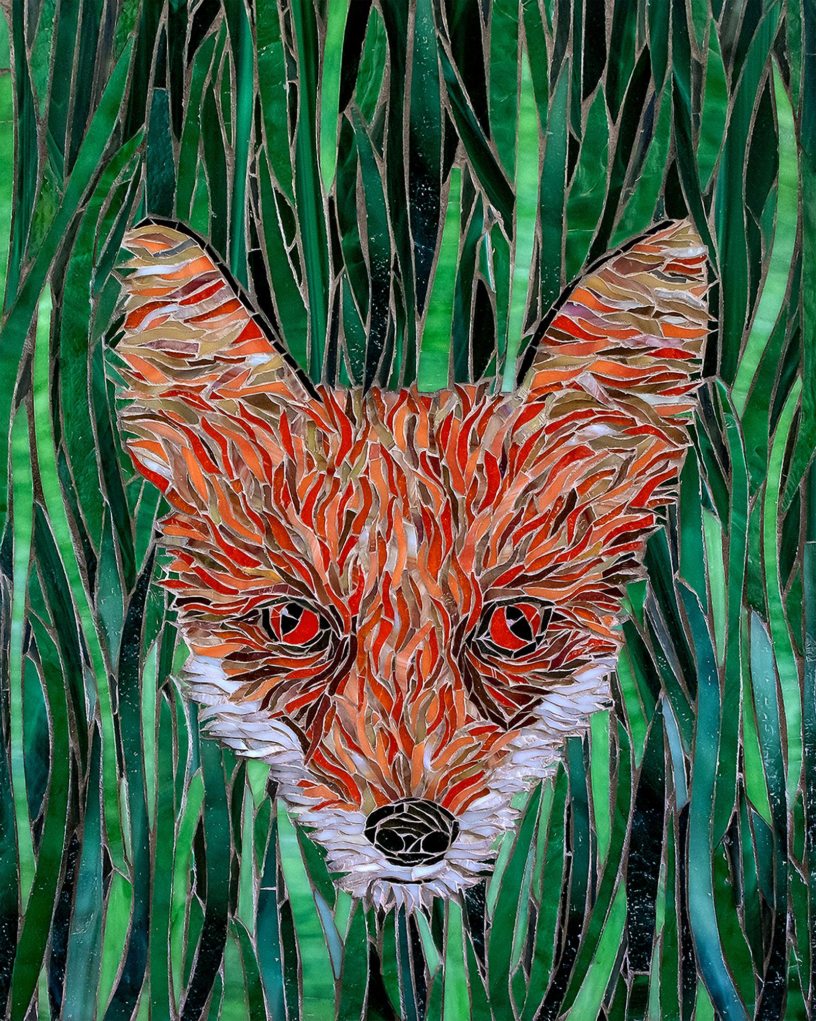 A fox in the grass