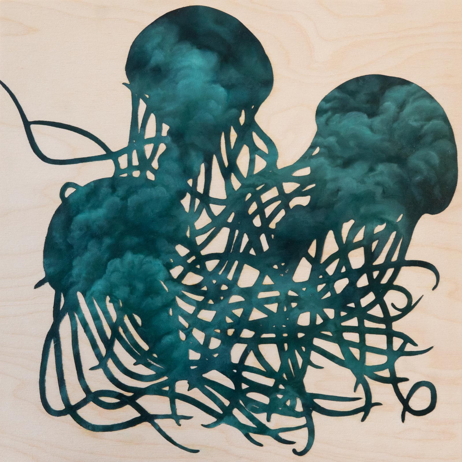These are jellyfish in the medusa stage. Their complex life cycle is part of what makes jellyfish so resilient to changing water conditions such as warming and acidification. They begin their lives as a polyp, which can survive for many years until conditions are right—then they bud into a strobila, a stack of jellyfish clones that grows off the polyp. Each strobila at the top of the stack will eventually break off, and then feed until they turn into medusae. The medusae reproduce sexually, their sperm and eggs combining to form planktonic spores which turn into more polyps once they attach themselves to a surface.

When other marine species are threatened, jellyfish often take over. Many species of jellyfish are extremely resilient; they can regenerate their flesh, survive for long periods without food, reproduce in staggering numbers, and often thrive in warming waters. (One species, Turritopsis dohrnii, is considered biologically immortal). They also have a low nutritional value, and in some ecosystems have few known predators. Many creatures that do eat jellyfish, including albatrosses, tuna, swordfish, and sea turtles, are now considered threatened species due to overfishing and climate change.

I was inspired to create a series of paintings exploring the complex web of relationships in the ocean after attending a lecture by environmental artist Stacy Levy. Water has unique properties that make it the fundamental source of life on Earth, and through my paintings I explore how it looks, how it moves, and the complex ways in which it connects our world.