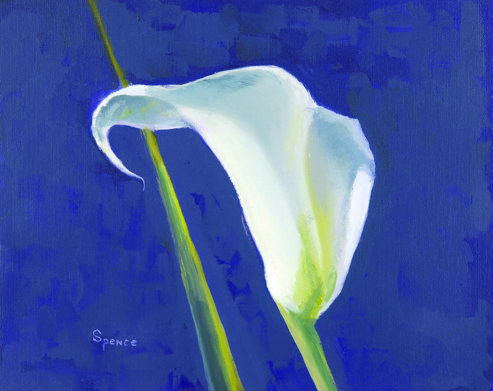 I fell in love with Calla Lilies. . Their grace and pure beauty captured my eye like no other. I arranged and re-arranged in my studio with every imaginable light. None seemed much to matter. The Calla Lily stood out however she was positioned. I spend hours with her in arranging and painting. All of those hours in her company produced nothing but "Much Peace". This painting happened to be created during a time of great unrest in our Country. 32 year old Heather Heyer was killed by a car intentionally driven by a white supremacist into a crowd of people who had been peacefully protesting in Charlottesville, Virginia. "Much Peace" was dedicated that day to Heather Heyer.