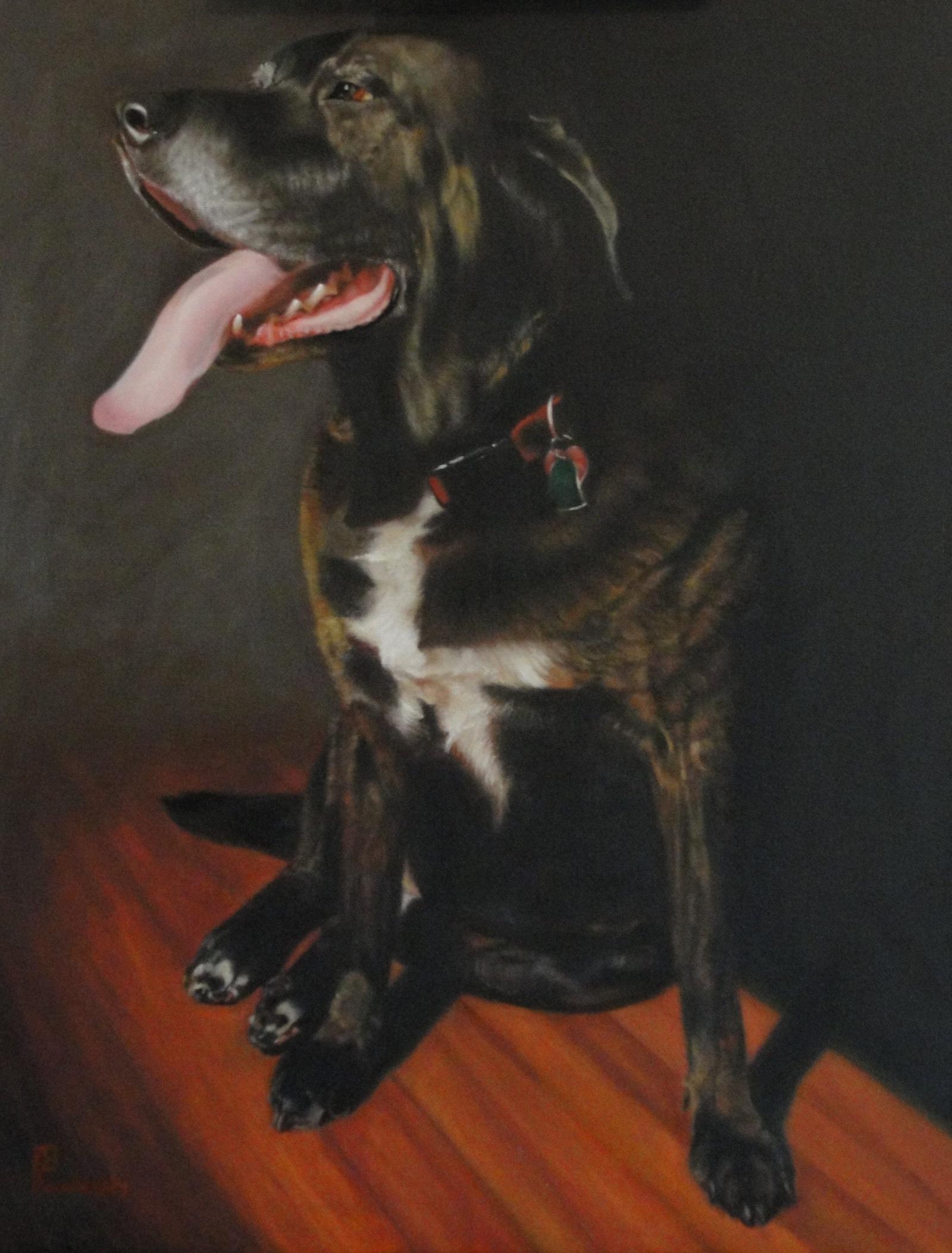Pet portrait. Commissioned work.
