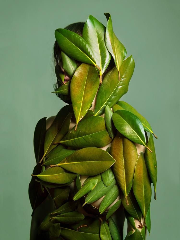 Flora Series