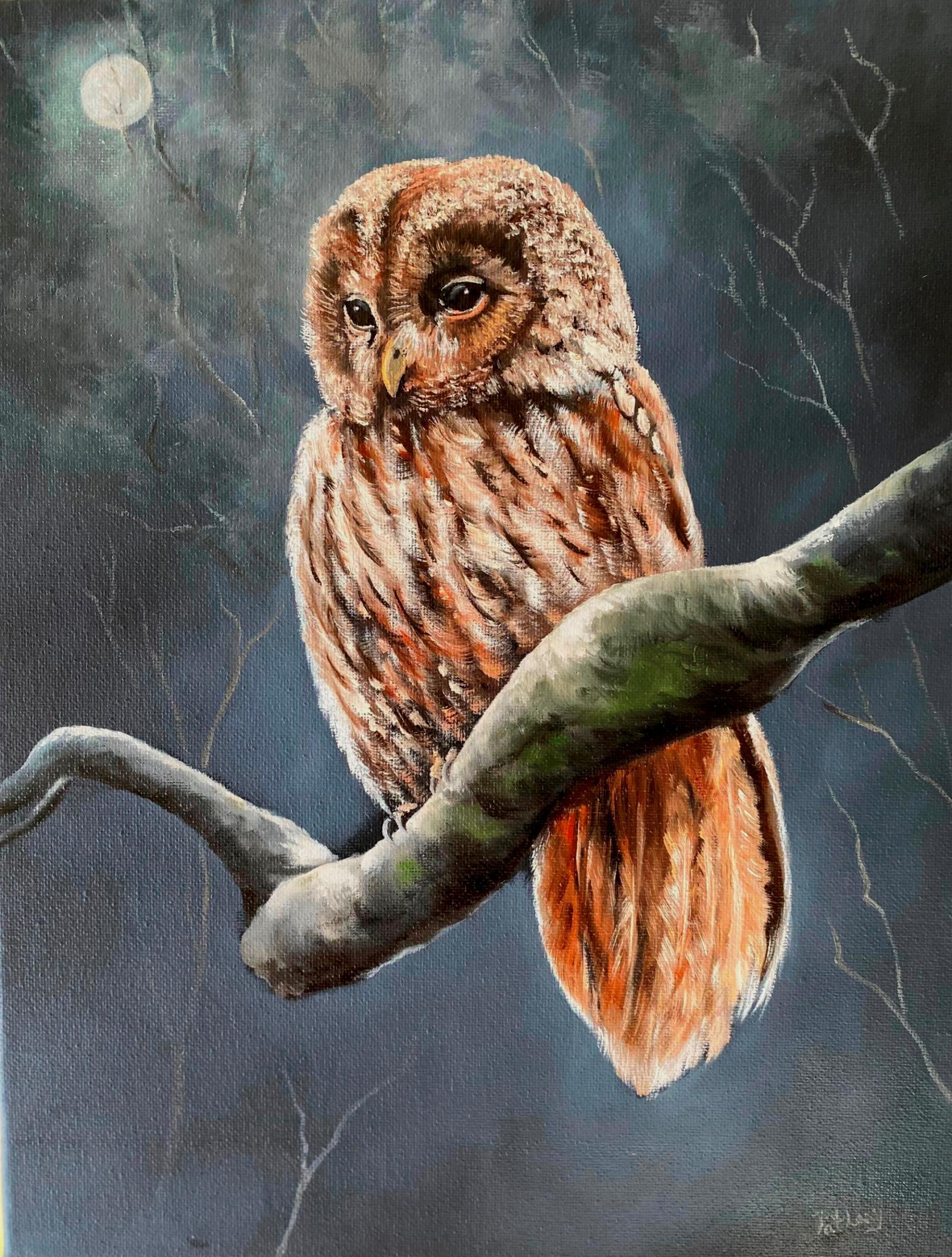Oil painting of a barred owl on a tree branch at night