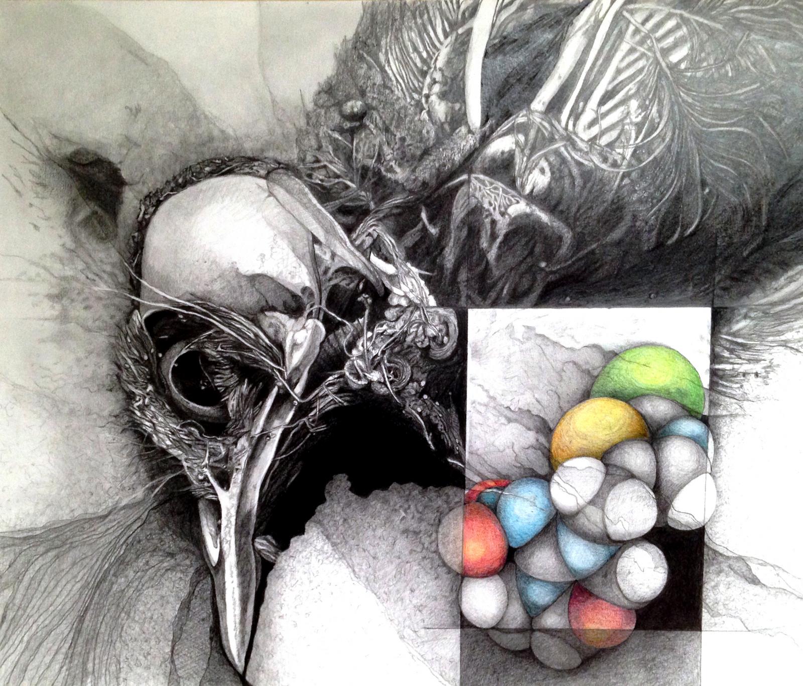 Drawing of dead bird with neonicotinoid molecule (neonics are contributing to the death of bees, butterflies and birds).