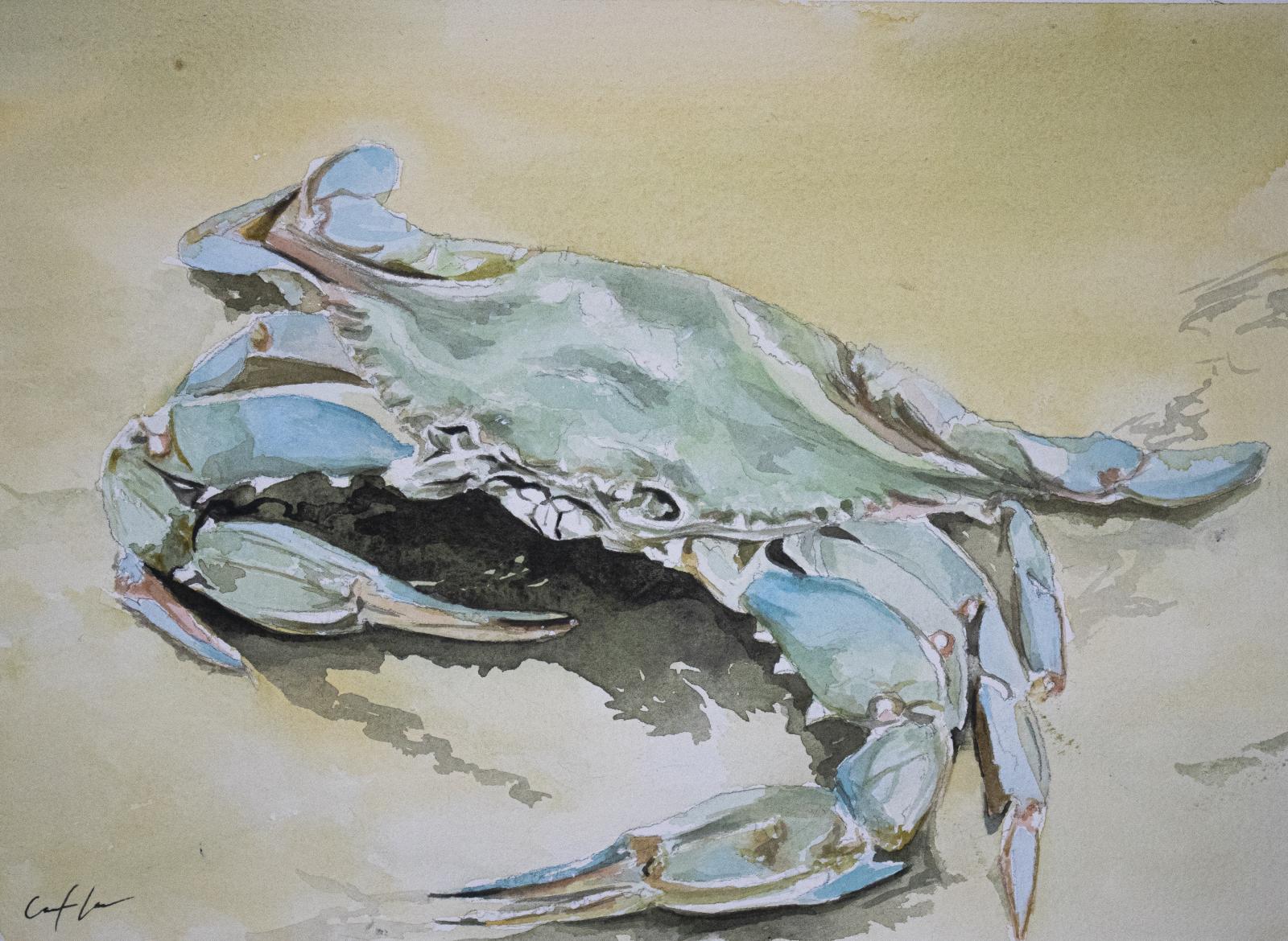 Original watercolor of a Chesapeake blue crab.