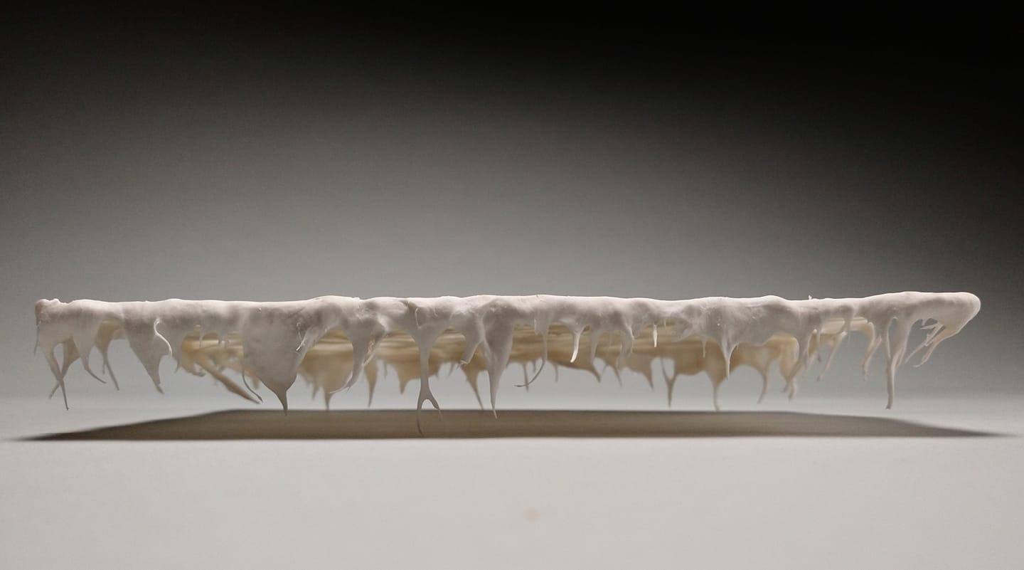 A useless, extremely fragile porcelain shelf suspended by its own tendrils.