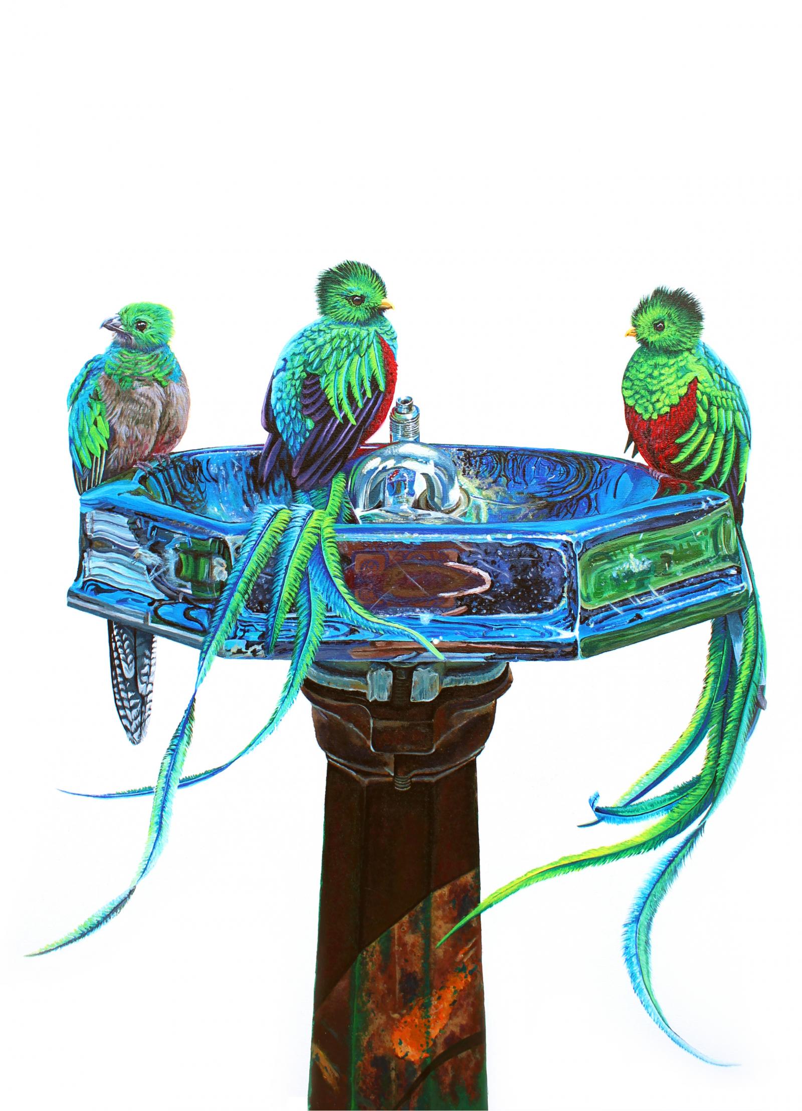 The quetzal is found throughout Central America and is the national bird of Guatemala. It is sacred to the Maya and Aztec peoples. These three quetzales are perched on a historic water fountain found in Patterson Park, Baltimore. The quetzal birds compliment the colors found in the reflections of this once functioning metallic fountain. Their feathers acting like water pouring out from the fountain.