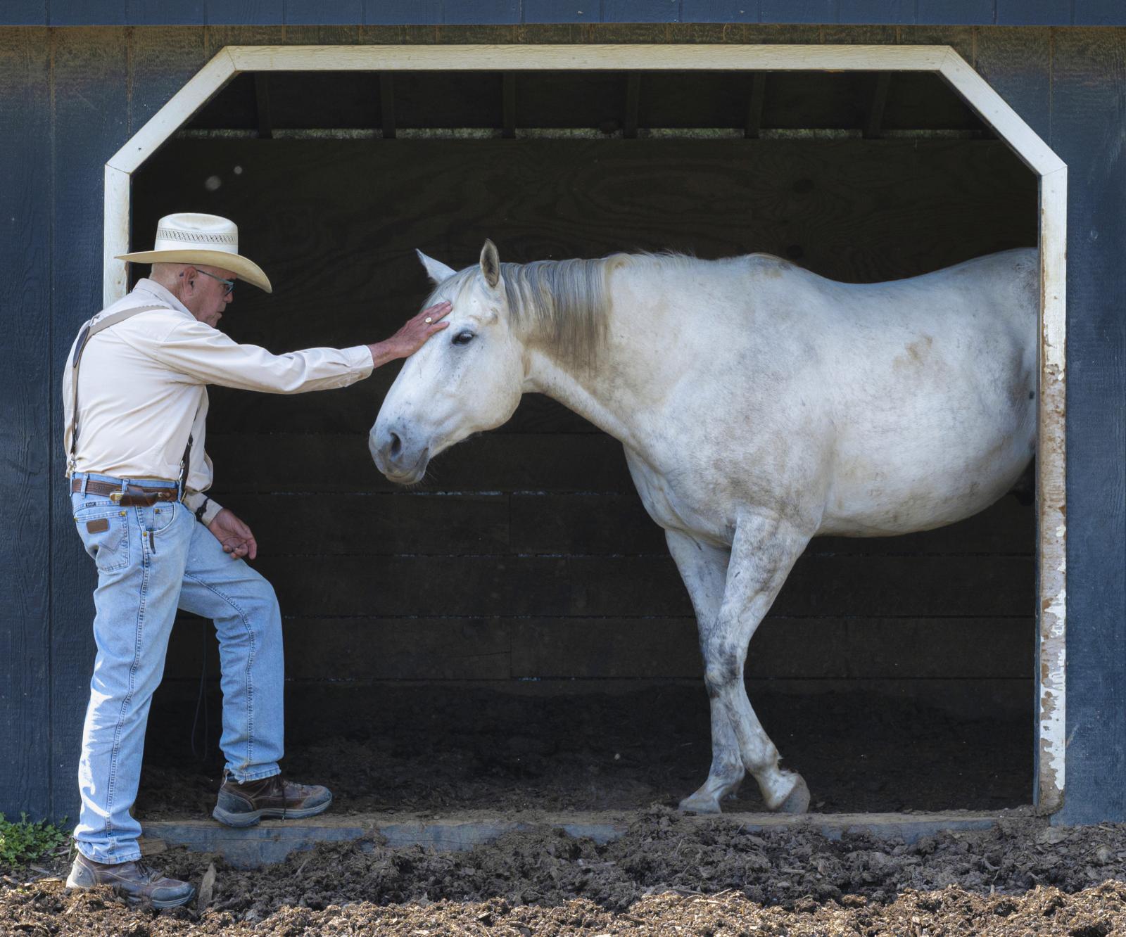 Digital photograph depicting the mutual respect and trust between horse and man.