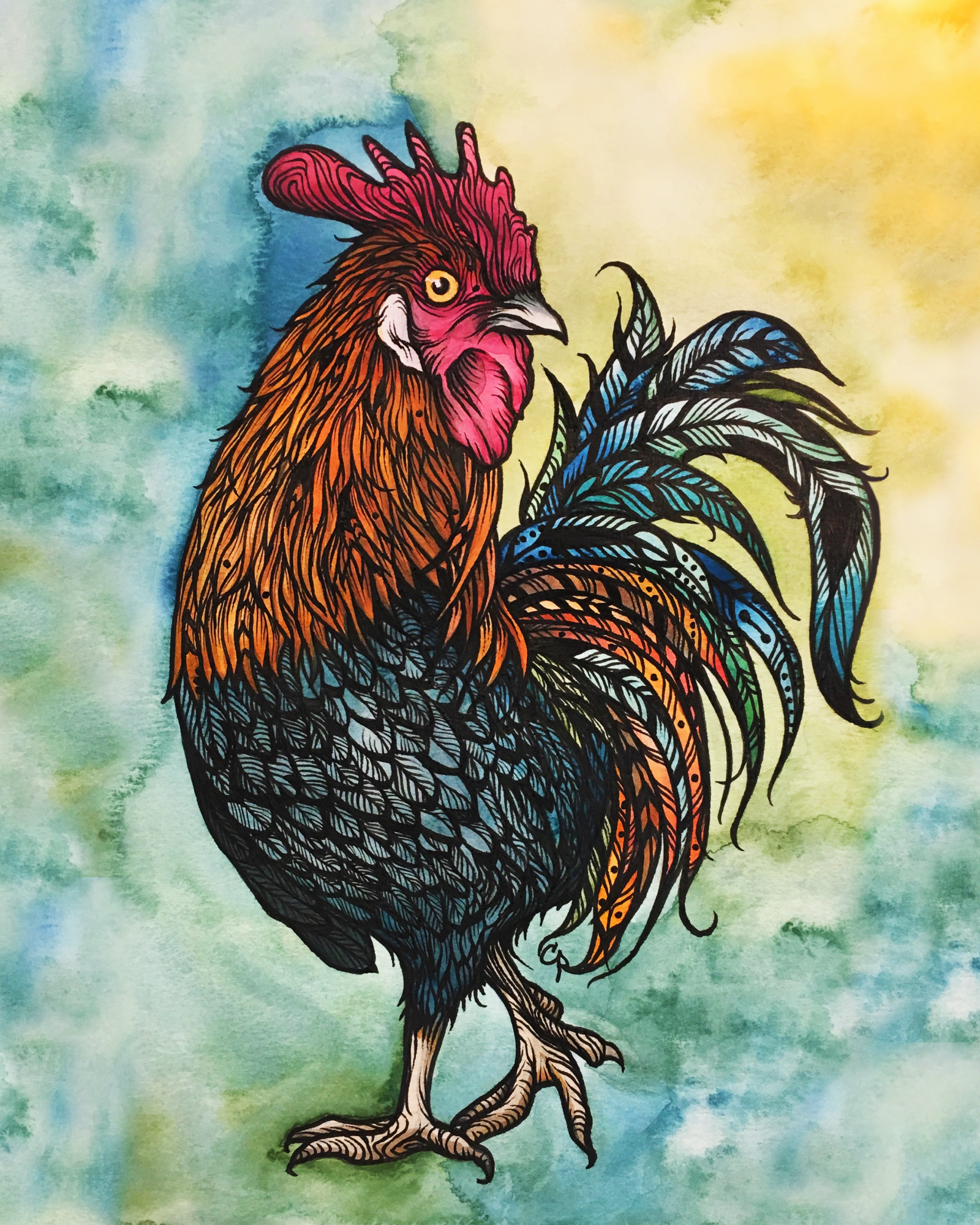 Original Illustration by Cat Paschal Dolch - Le Coq (The Rooster)