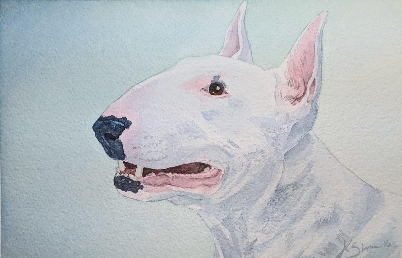 Commissioned pet portrait
