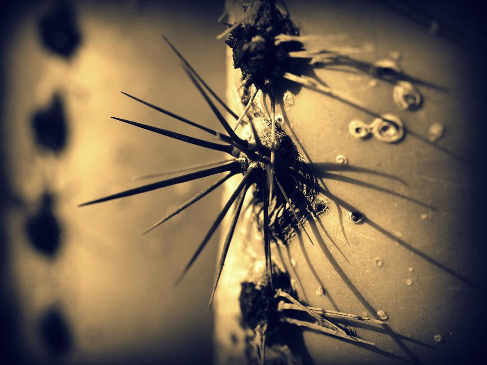 Abstract, extreme closeups of naturally occurring subject matter, including seed pods, icicles and textured plants, printed in a split tone of warm and cool.  