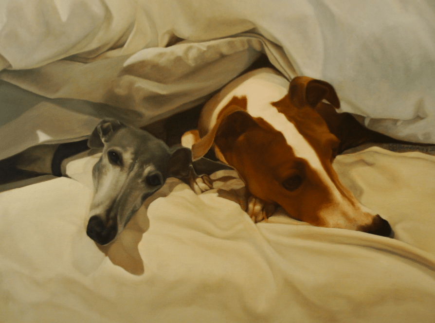 Portrait of Italian Greyhounds