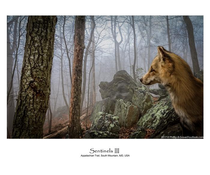 Sentinels II is part of my Spirit World Exhibit is also available on the Internet at https://artavita.com/artists/11717-phillip-b-grove.