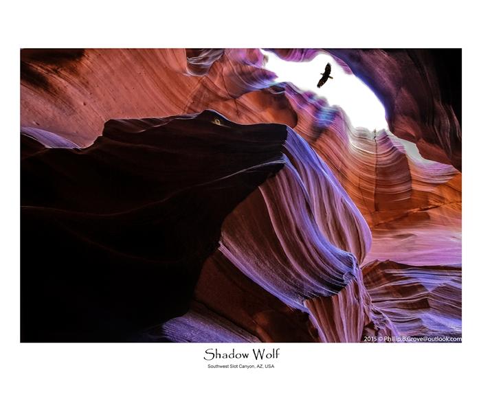 Shadow Wolf is part of my Spirit World Exhibit is also available on the Internet at https://artavita.com/artists/11717-phillip-b-grove.