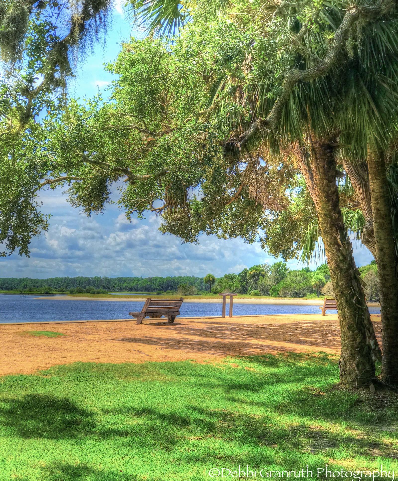 This beautiful setting was found at Washington Oaks Garden State Park in Palm Coast, Florida