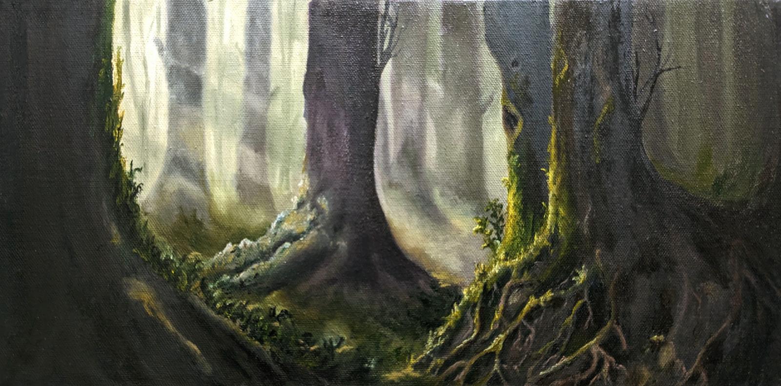 Morning in the deepest part of the forest.