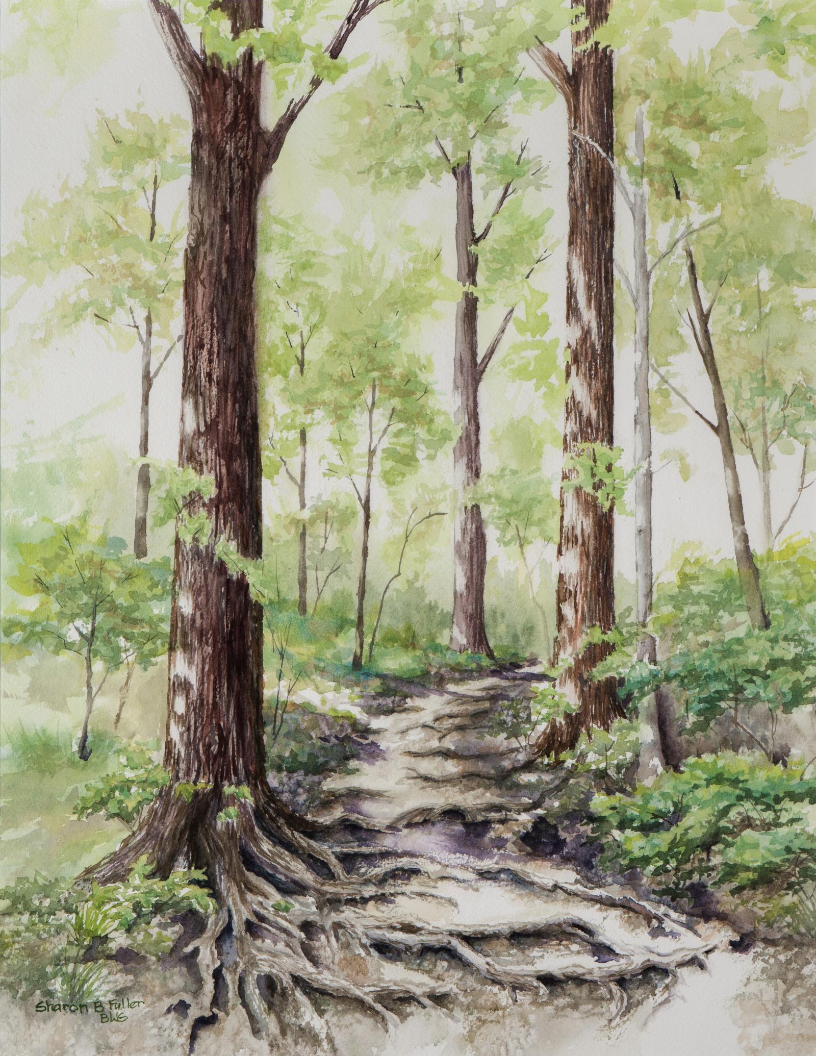 Tree roots form the steps on this section of the trail shown in spring.