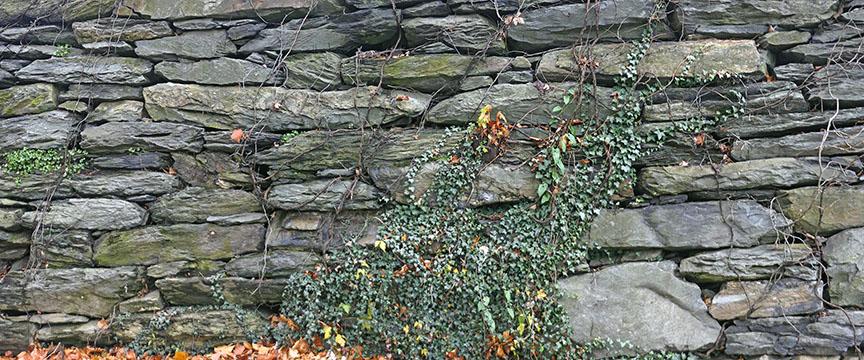 Digitally stitched panorama of a stone wall in fall