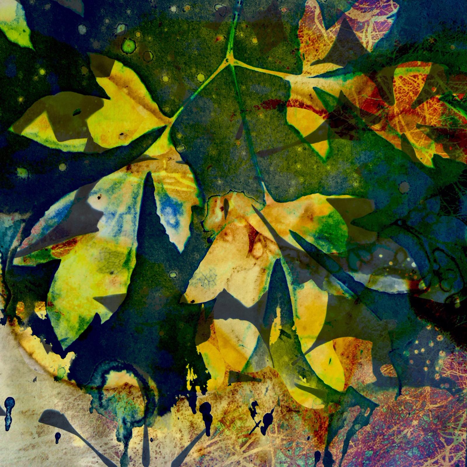 Modern Botanical. A cyanotype print, digitally layered and enhanced.