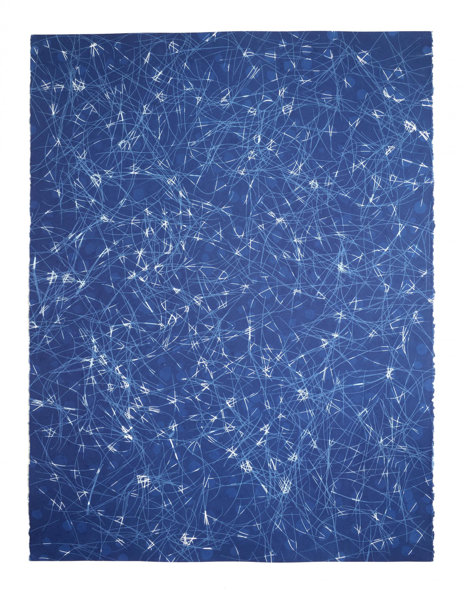 This artwork is part of a series titled, Keeping Pace. It is a series of paper-based works that build collaged imagery resembling nervous and respiratory systems. They are created through a cyanotype photographic printing process where tree leaves and other foliage are exposed to the sun on chemically coated paper to create cyan-blue prints. The process of cyanotype printing with multiple exposures is slow, repetitive, and laborious. The process is itself healing. It is a tool to get the body moving while also giving time to reflect on the interconnectivity of the body and the land it inhabits.