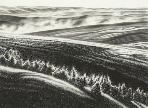 Agrarian landscape with distant dust from combine harvesters and a row of backlit foreground trees. Layers of land describe the immense depth of field of harvested wheat landscape. Charcoal on paper. 22x30"