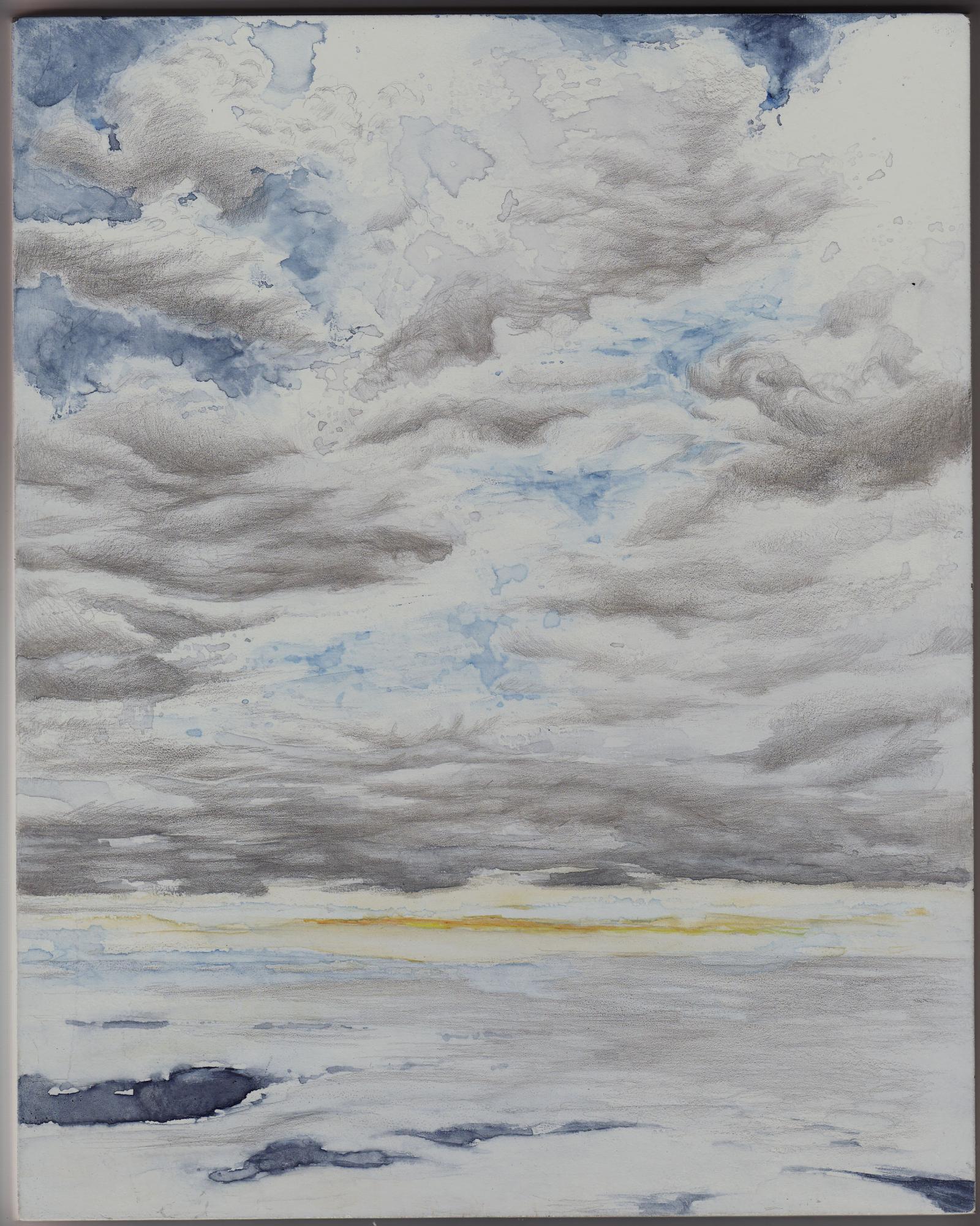 This work is on a prepared panel using silverpoint drawing methods fine silver and watercolor.  