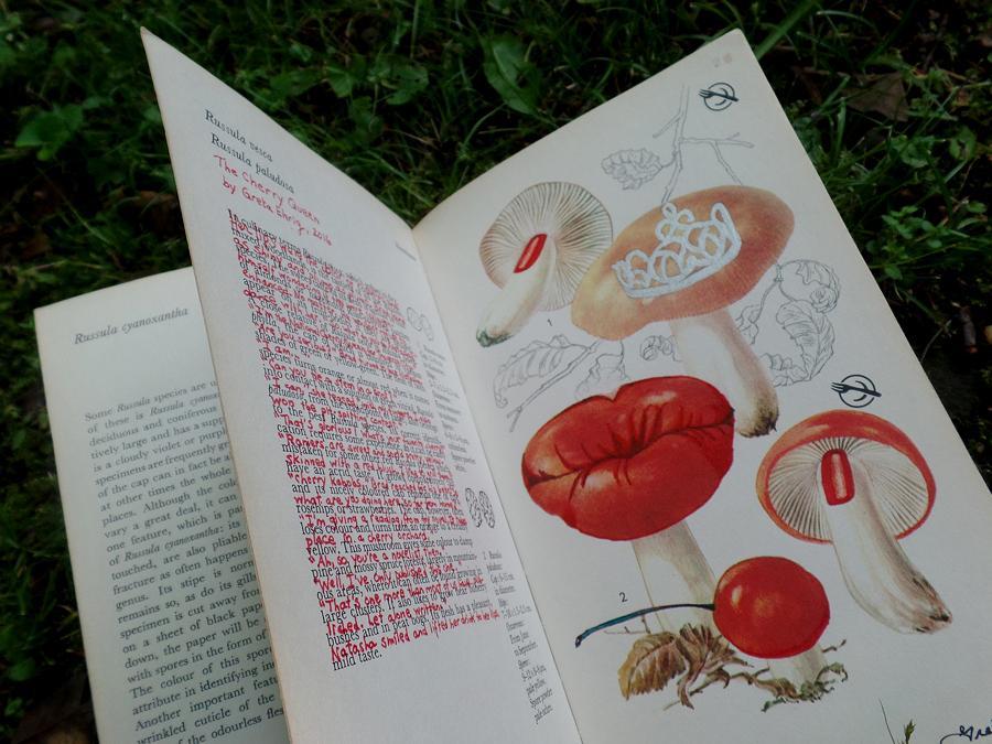 I created this literary / mixed-media piece at the invitation of Maryland artist Marty Ittner, alongside other artists from around the country and abroad.  Each artist was asked to choose a color plate within Ittner's vintage mushroom field guide -- for adding to, subtracting from, or otherwise altering.  On the left side of this spread is a single piece of flash fiction, hand-written between the book's own description of the Russula mushroom.  The story is "illustrated" by related images on the adjacent page.  