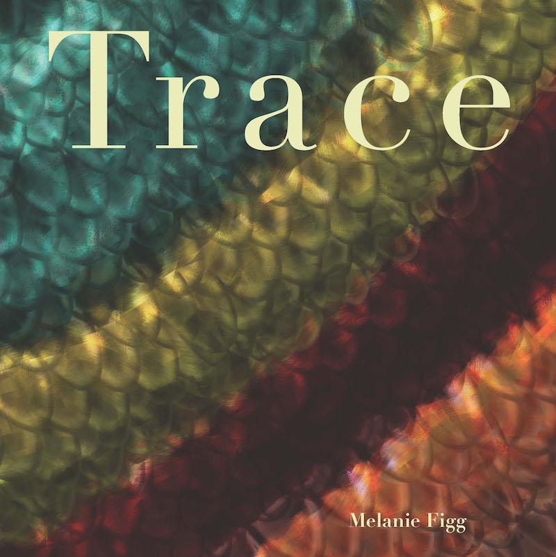 The award-winning poetry collection, Trace, received a prestigious Kirkus starred review and was named one of the "Best Indie Books of 2020."
“The stunning poems in Melanie Figg’s debut full-length collection, Trace, exist in a sublime and terrifying world filled with visual art, human atrocity, and a complex family history, including a sister that serves as a mirror and window into the forces that formed them both. These poems are breathtaking in their braided complexity, unwillingness to settle for two-dimensional revelation, and ability to face the abyss and sing, symphonically, into it. The two long, sectioned poems, “Untitled” and “Leaving a Trace,” are the crowning jewels of this book and illuminate Figg’s tremendous gift on the page, “forming perfect sentences / of evidence and sorrow.” --Allison Benis White