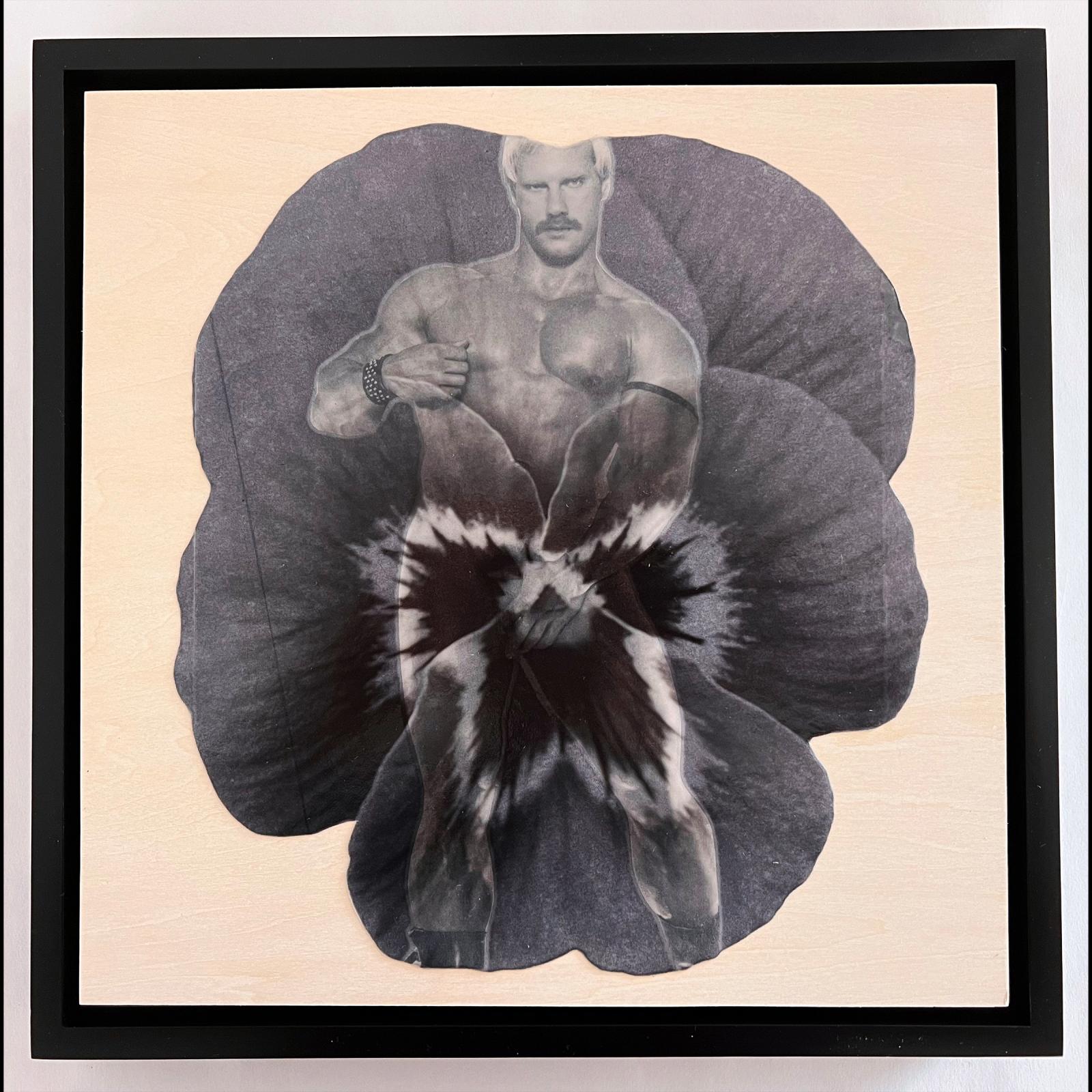 Vintage Pansy, 2023, (collage) found image from vintage gay erotica, custom chiffon pansy fabric, Martha Stewart craft paper, and acrylic varnish on wood panel in wood frame. 13.5 x 13.5 x 2 inches