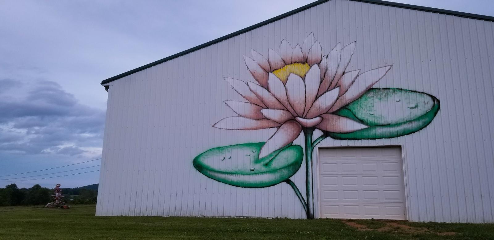I painted a mural for Frederick art council forther barn mural tour I painted a water Lily for the Lily farm