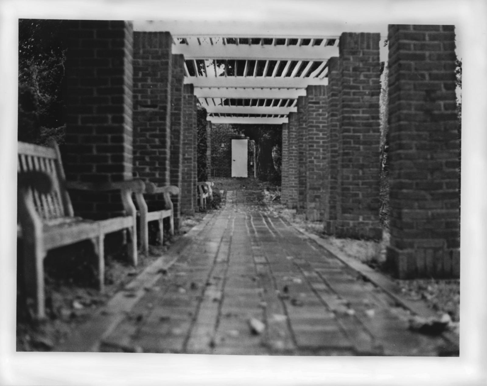 landscape film photograph 