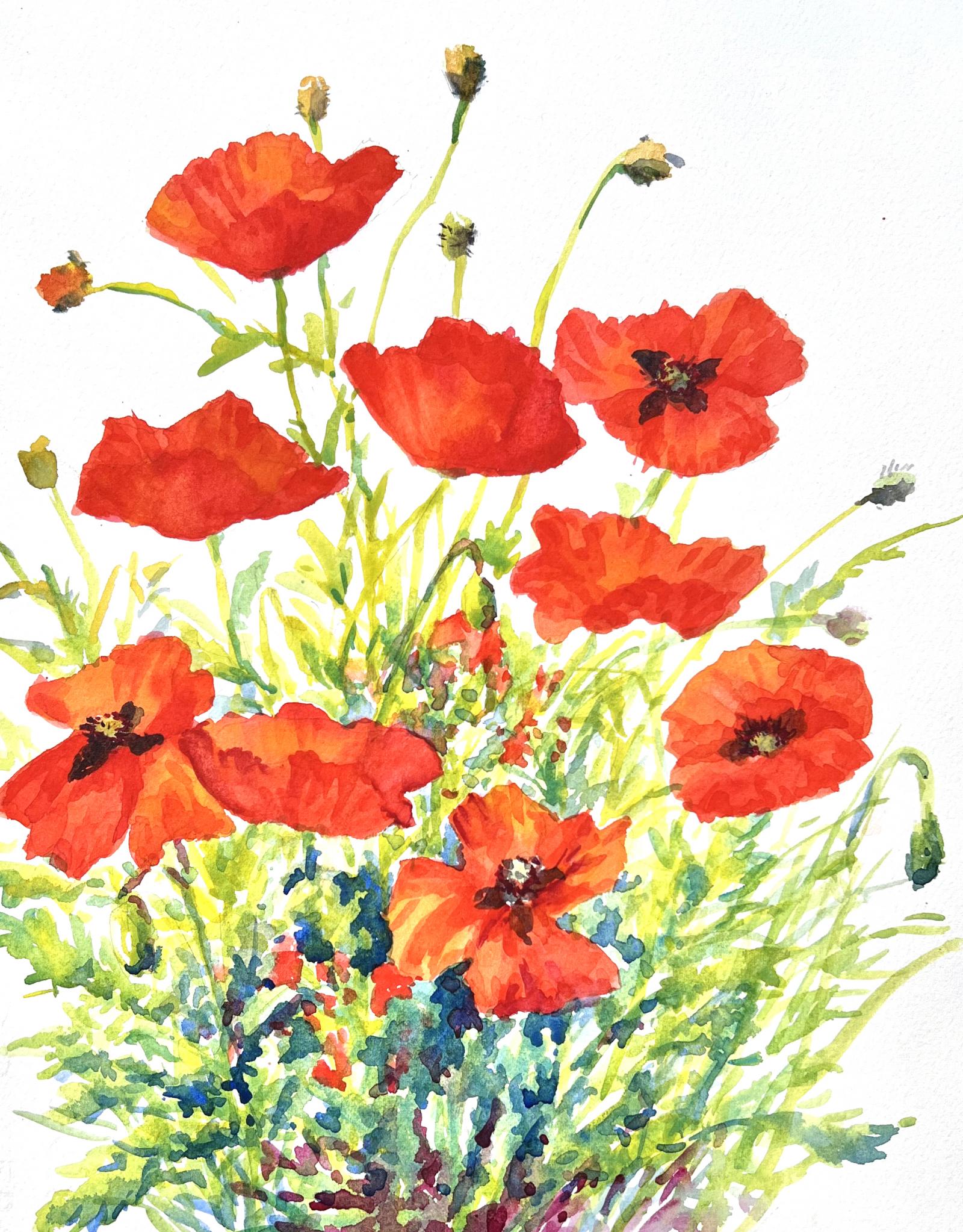 Poppies painted en plein air in a friend's garden