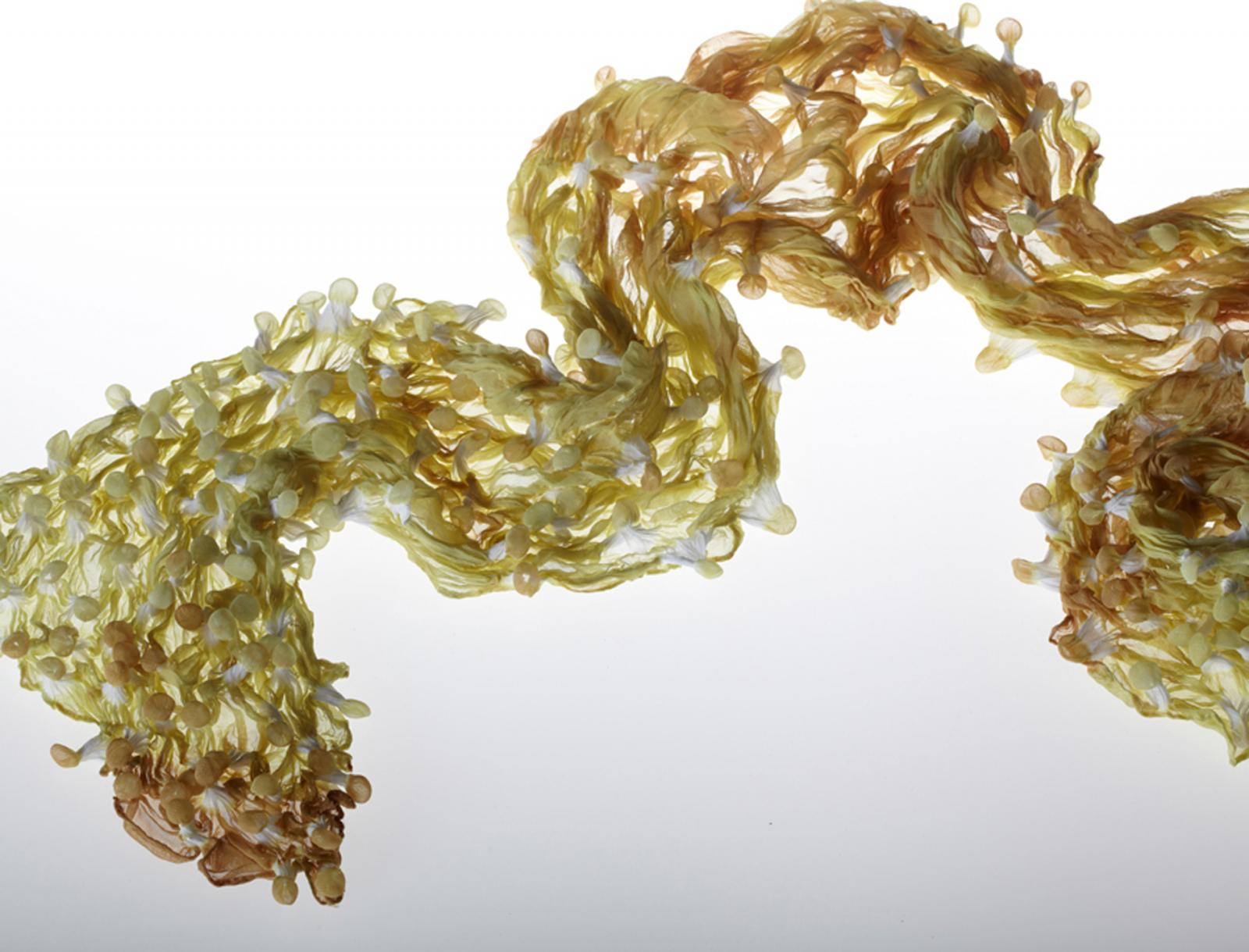Yuh Okano's signature fiber in art, this piece is part of the Museum of Modern Art's design collection. Inspired by the swelling of the sea and its creatures,  ebbs and flows like the tides and calls to mind seaweed, coral, jellyfish, and sea urchins. The two-toned colors, like the floating sea, gradually merge into the bubbles of the fabric. This is handmade using shibori dyeing techniques, which give the fabric its flowing and delicate texture while simultaneously imbuing it with an exuberant depth of color.  
