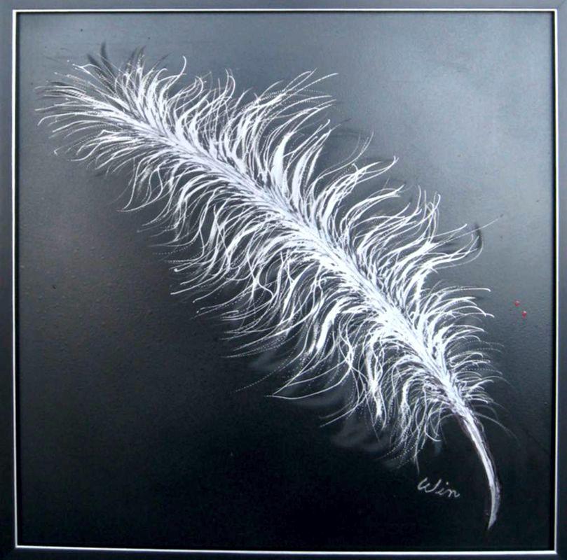 Feather is an etching on aluminum