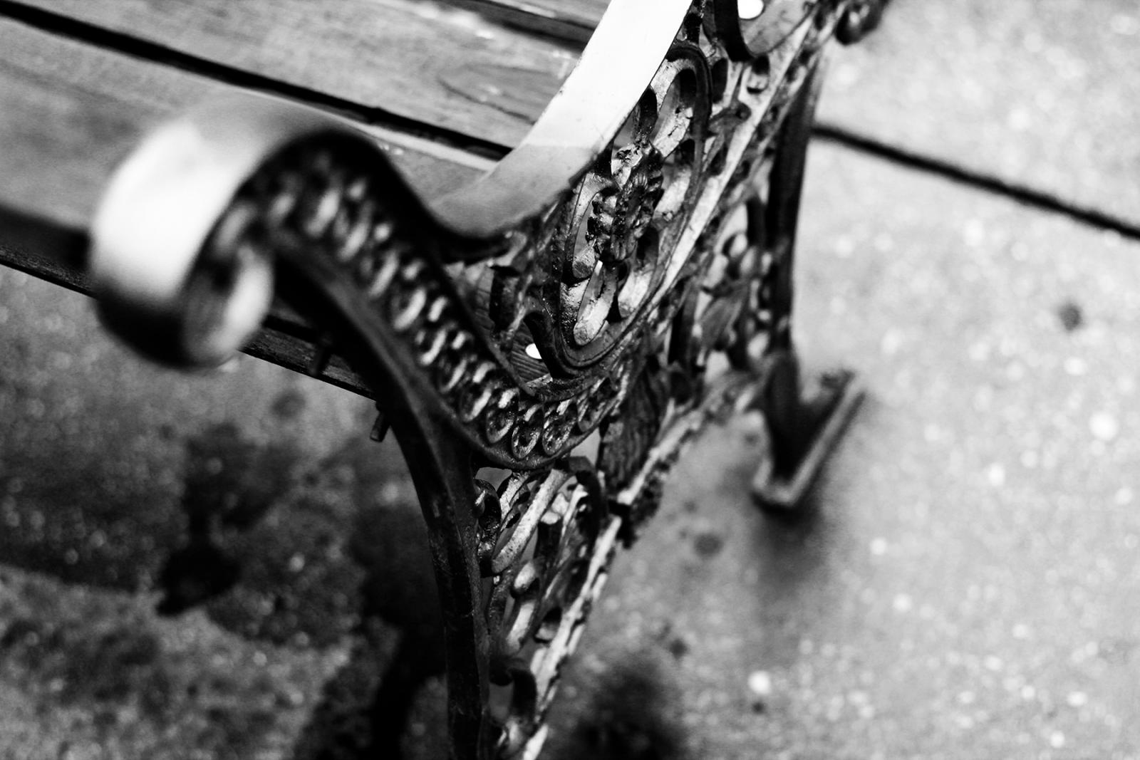 Black and White Bench picture taken in Tacoma Park MD