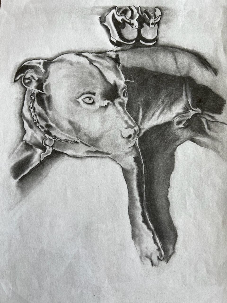 A pencil drawing I did for a friend of his recently departed and dearly loved dog.