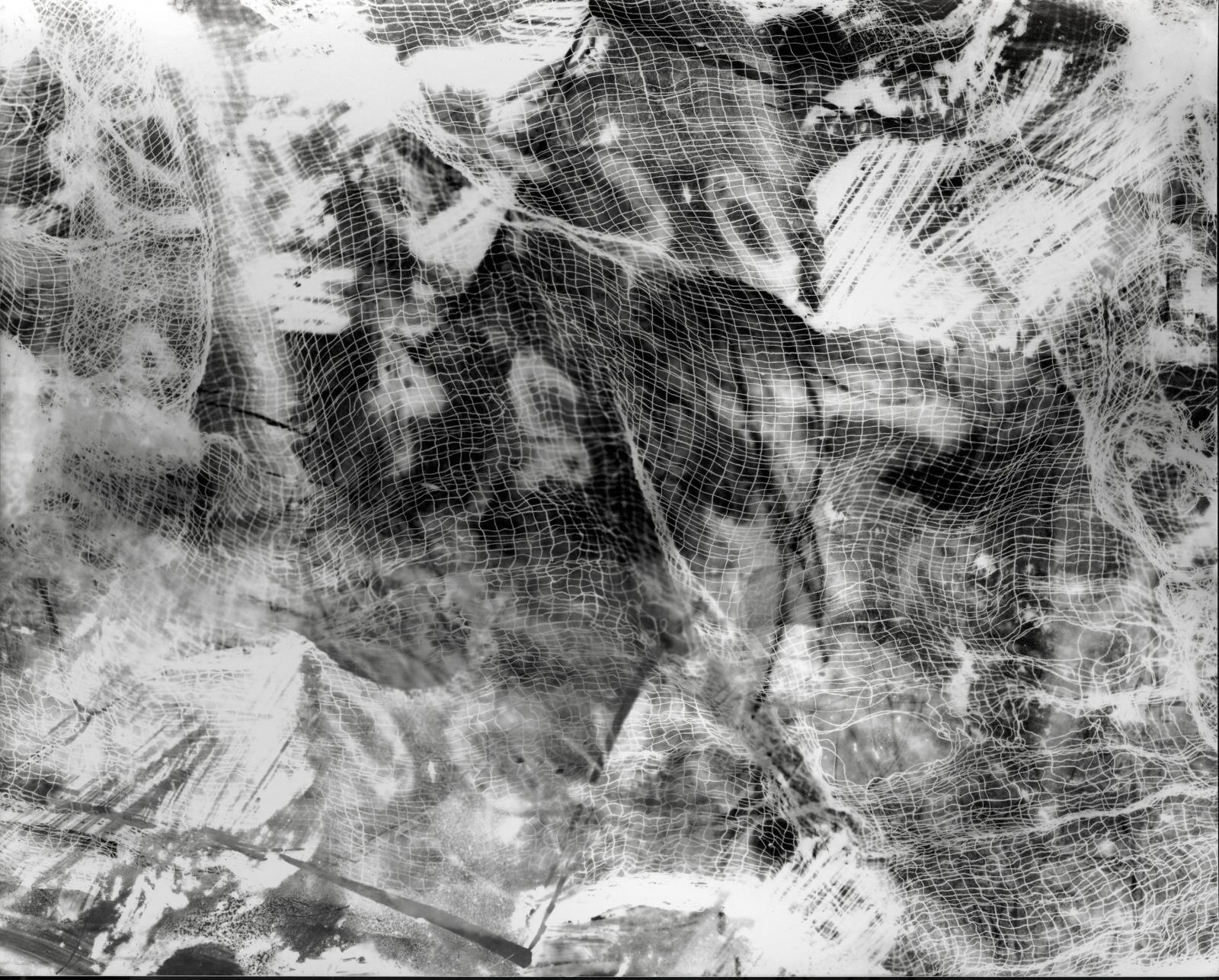 gelatin silver print created with destroyed b+w film, photogram, darkroom manipulation