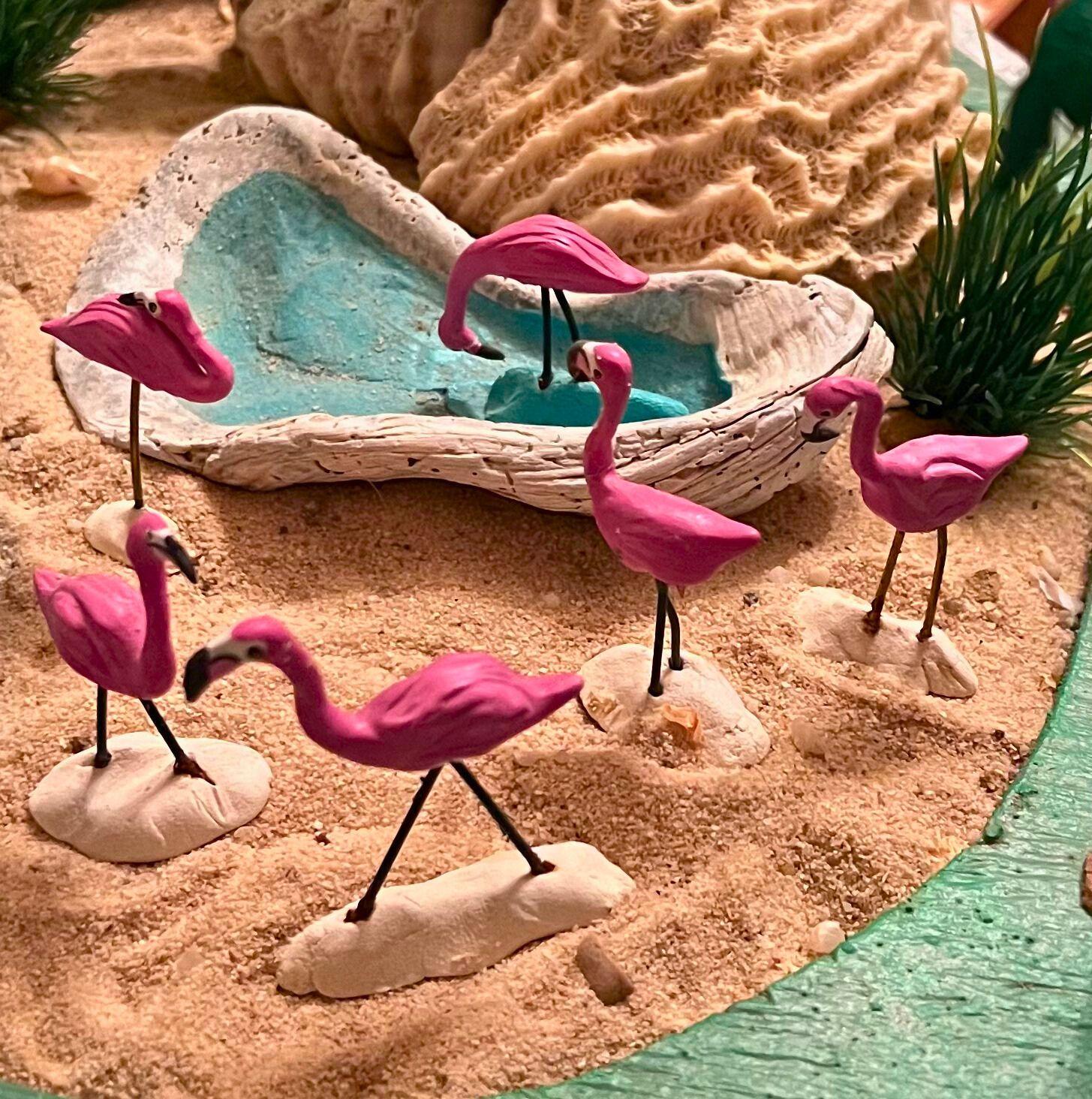 A Vibrant Coastal Habitat

Materials for Construction and Decoration:

The flamingo exhibit will meticulously recreate a vibrant coastal habitat, utilizing a diverse range of materials to ensure both aesthetic appeal and environmental authenticity. The primary components include:
Natural Elements:
     Seashells: Collected seashells of various sizes and types will be strategically placed to mimic the natural debris found on a coastline, providing textural interest and a realistic touch.
     Sea Coral: Responsibly sourced or ethically simulated sea coral will be incorporated to represent the underwater structures found in flamingo feeding grounds, adding color and intricate natural forms.
     Sand: A generous base of fine, clean sand will form the exhibit's ground cover, essential for replicating the sandy shores and shallow waters where flamingos typically forage.
Artistic and Sculptural Elements:
     Fimo Clay Sculptures: Custom-crafted Fimo clay sculptures will add artistic flair and unique details to the exhibit. These could include miniature representations of coastal flora, small marine life, or even stylized interpretations of the flamingos themselves, adding an imaginative dimension.
Structural and Found Materials:
     Plywood: Durable plywood will serve as the foundational material for constructing various structural elements within the exhibit, such as elevated platforms, nesting areas, or background panels, ensuring stability and versatility in design.
     Discarded Aquarium Grass: Repurposed discarded aquarium grass will be ingeniously integrated to simulate aquatic vegetation and marshy areas, lending a lush, natural appearance and demonstrating a commitment to sustainability.
     Acrylic Paint: A palette of vibrant acrylic paints will be used to bring color and depth to the exhibit. These paints will be applied to plywood backdrops, sculpted elements, and other surfaces to create realistic water effects, sky murals, and textural details that enhance the overall immersive experience of a flamingo habitat.