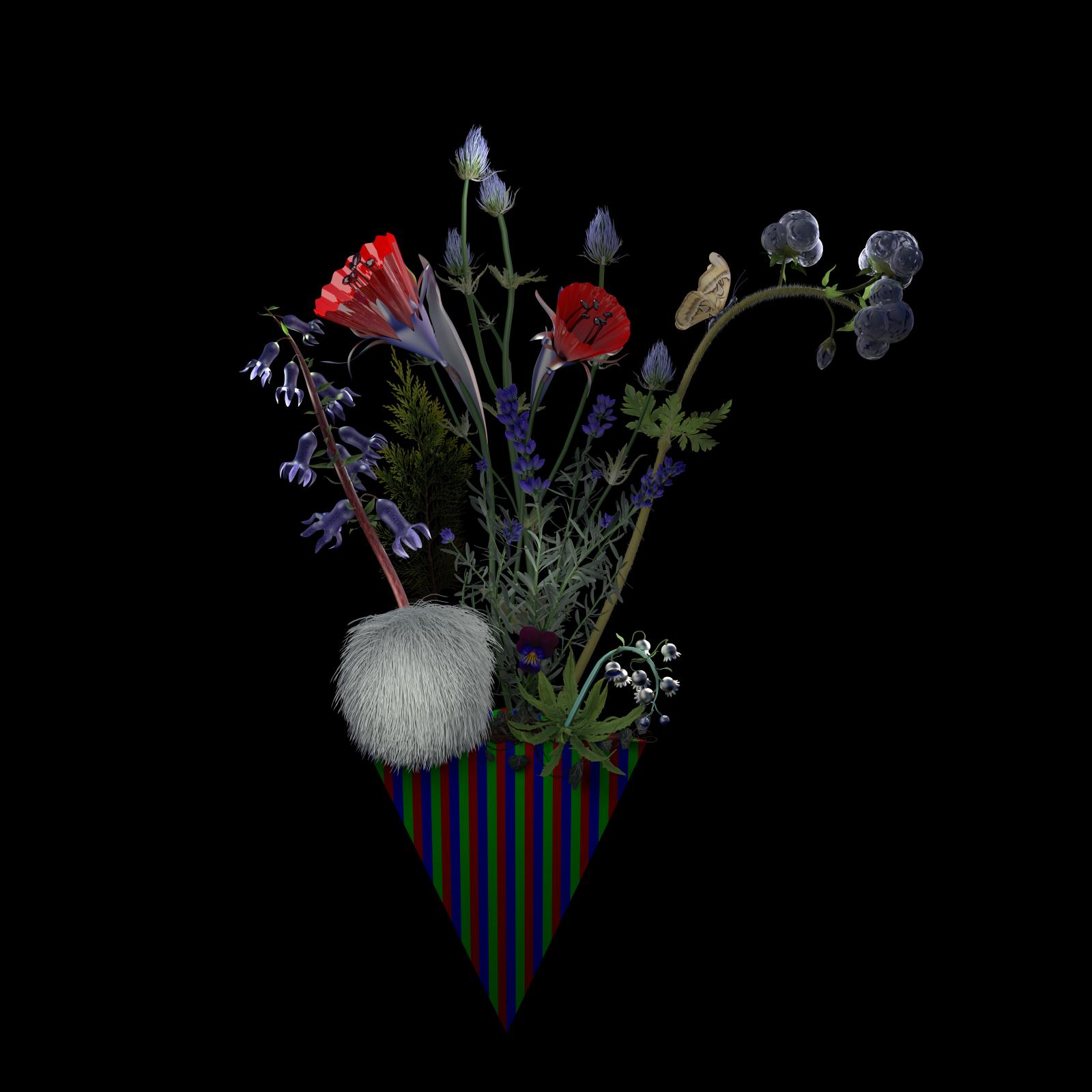 Part of "Future Sets," a series of digital prints on aluminum of images built in 3D modeling software, that draw upon Dutch flower painting and still life traditions. This work continues my artistic exploration of cultural narratives surrounding technology, bringing together art historical references and new forms of making to create a sense of the familiar made strange.