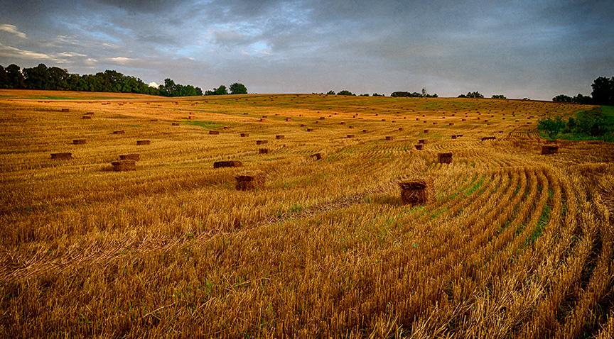 Hay field after a storm