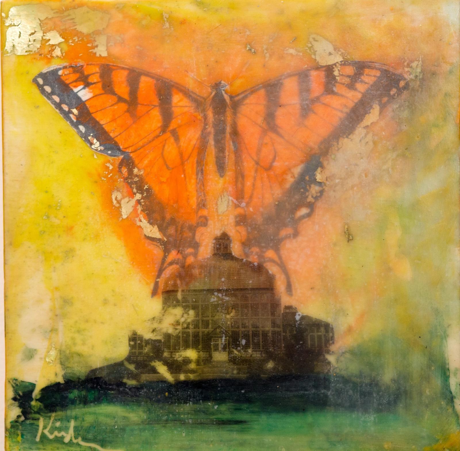 Rawlings conservatory beneath a sunrise of a monarch butterfly