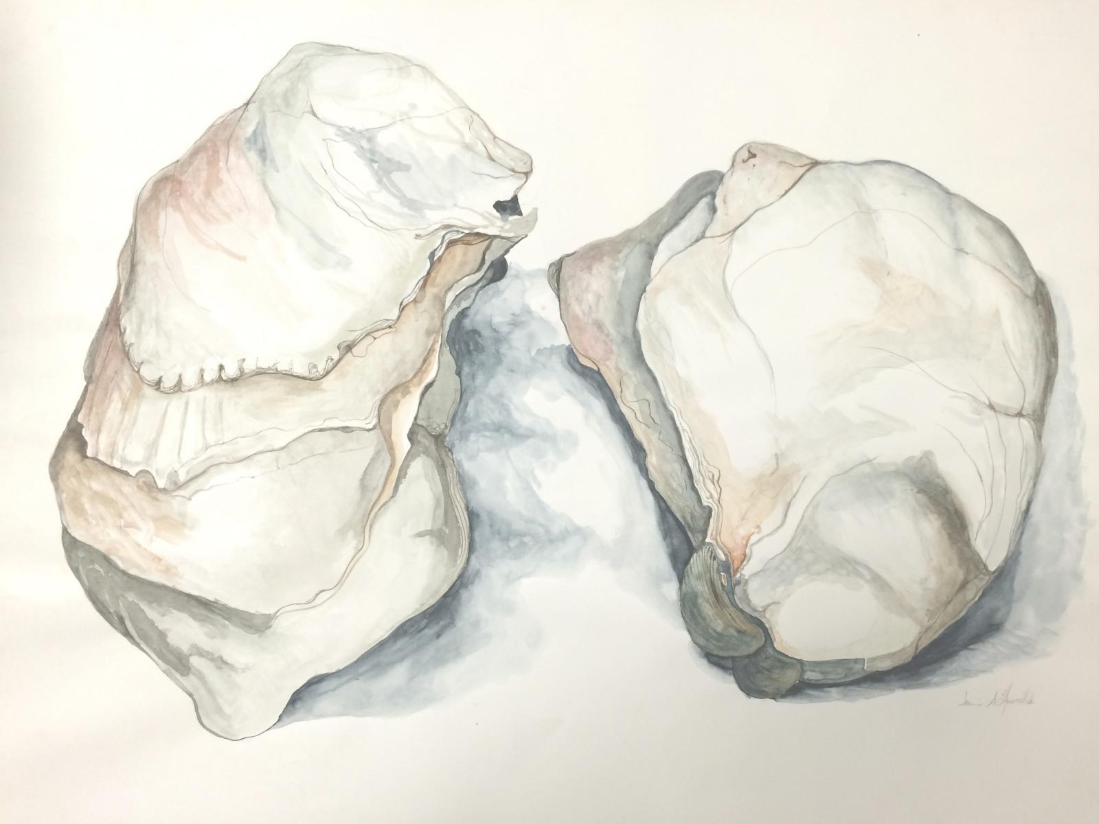 watercolor on vellum paper