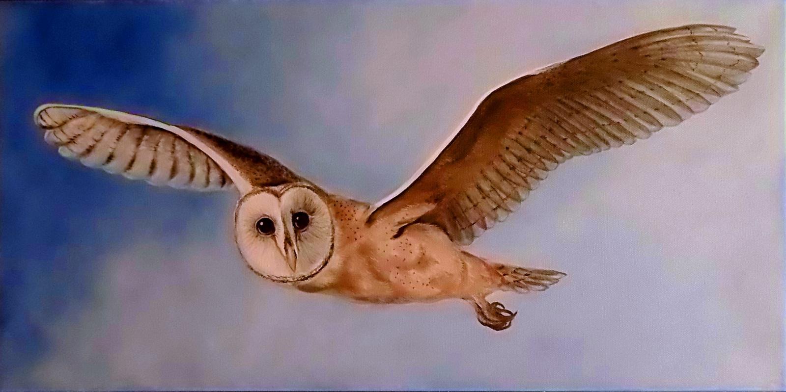Oil painting  of an owl flying on a gallery wrapped canvas
