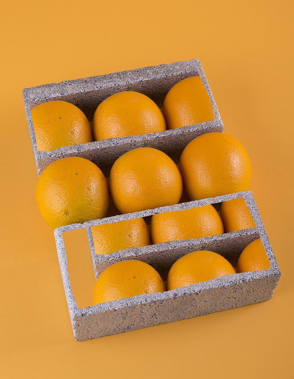 Found objects / Digital studio photography / Digital Compositing / Digital Printing