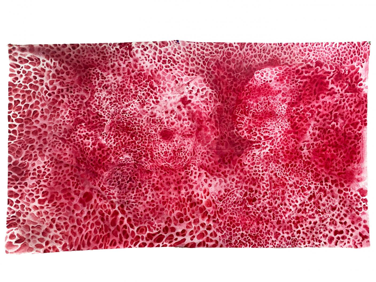'polyethylene' is a painting that is a part of a larger body of abstract work entitled BIOMES. BIOMES is an exploration of the relationship between the autonomy of materials and the human hand. polyethylene serves as a space for the artist to mourn and the shed various skins of a marginalized body, revealing hideous and glorious truth in its barest, most fibrous form.