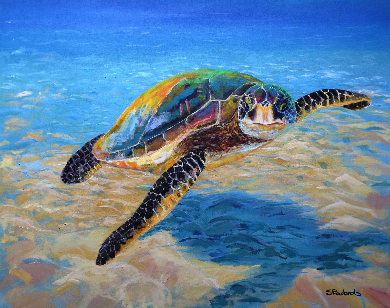 Sea Turtle