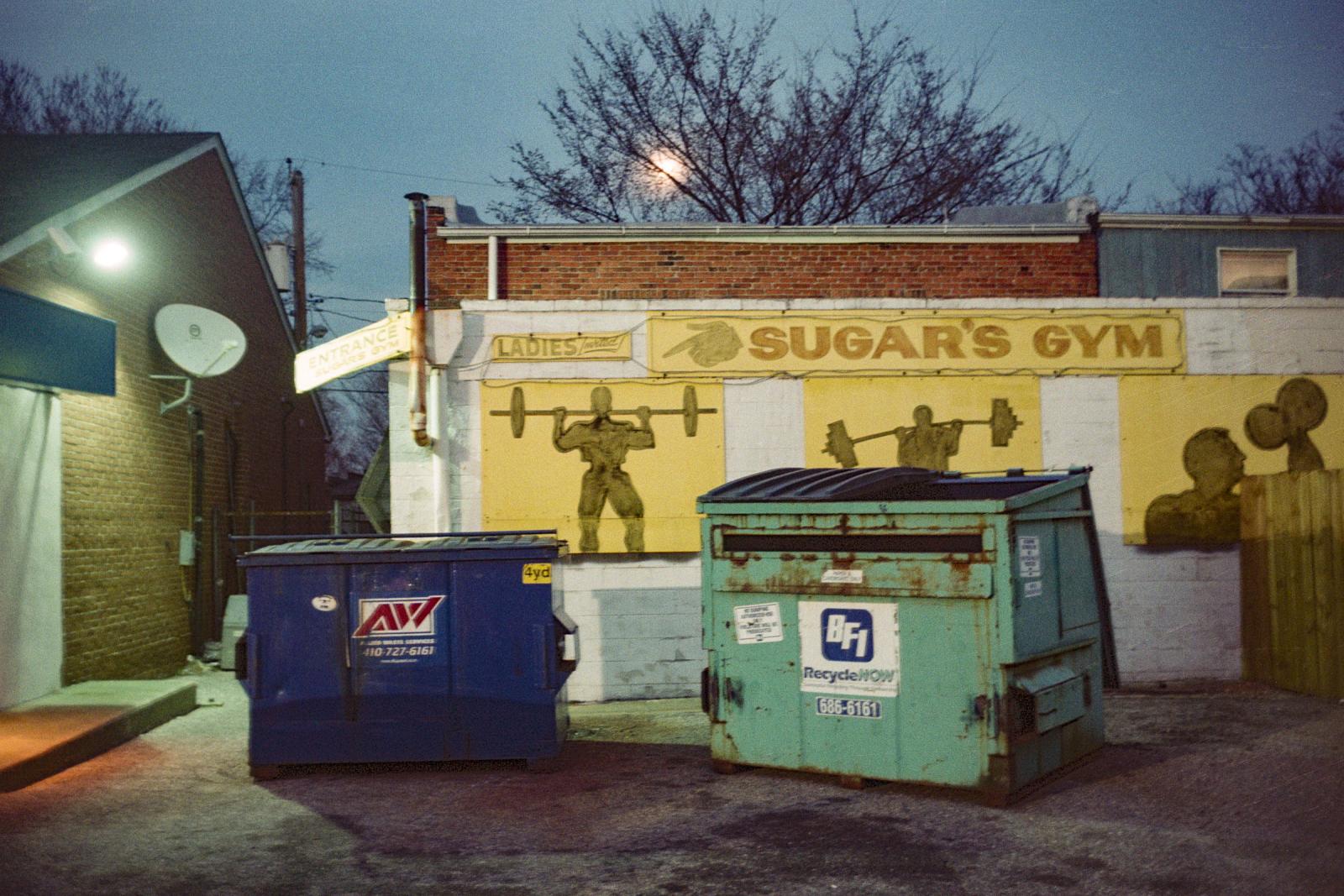 35mm Film Photograph
