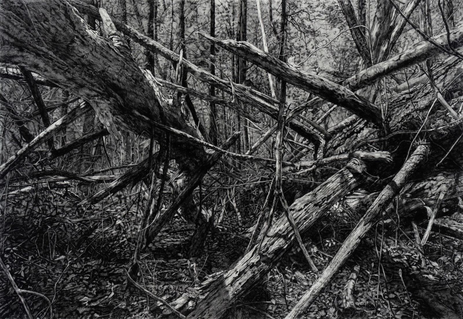 Landscape, Druid Hill Park, Baltimore City