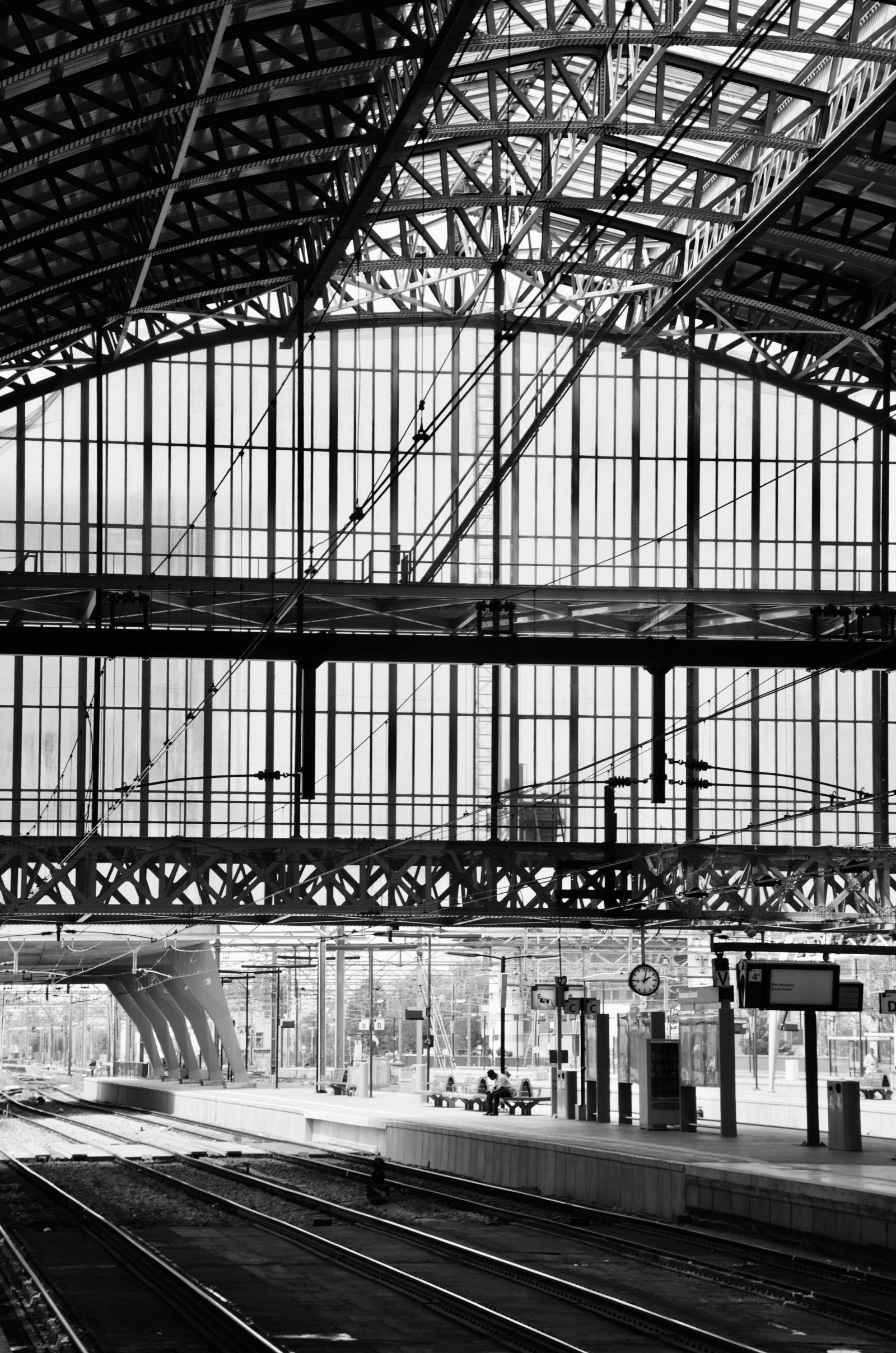 digital photograph