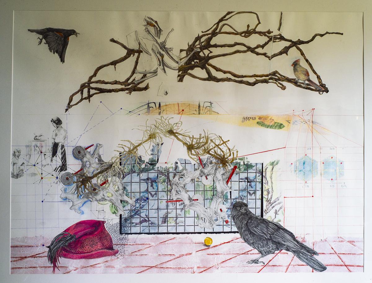 collage on paper featuring birds, bones, children's book images 